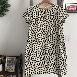 JCrew Canvas Sheath Dress